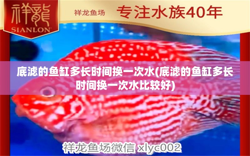 底濾的魚缸多長(zhǎng)時(shí)間換一次水(底濾的魚缸多長(zhǎng)時(shí)間換一次水比較好) 白子關(guān)刀魚苗