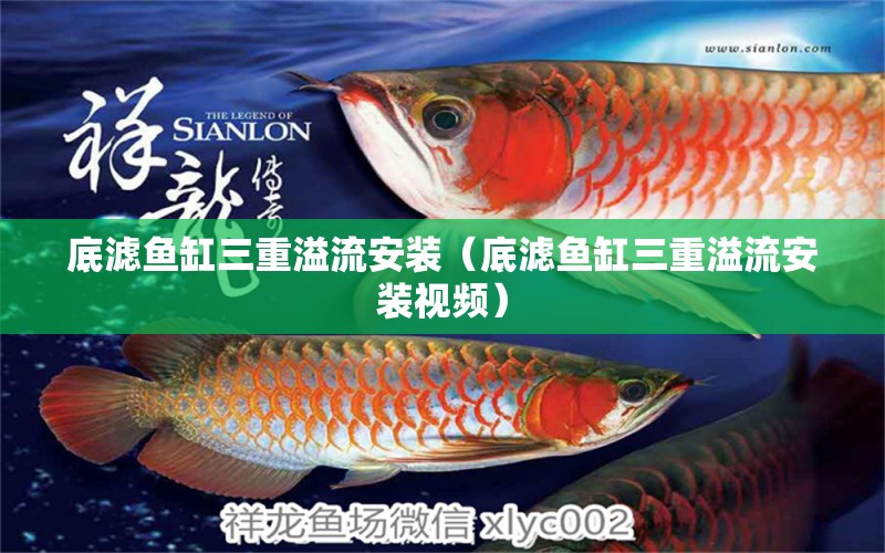 底濾魚缸三重溢流安裝（底濾魚缸三重溢流安裝視頻） 觀賞魚市場（混養(yǎng)魚）