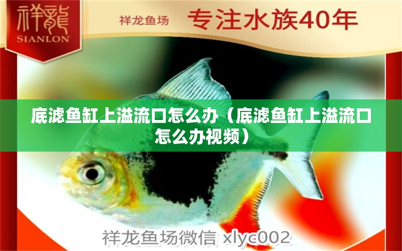 底濾魚缸上溢流口怎么辦（底濾魚缸上溢流口怎么辦視頻）