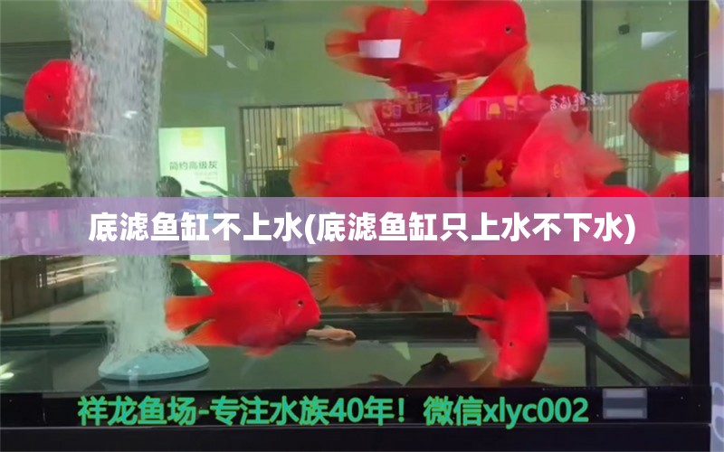 底濾魚缸不上水(底濾魚缸只上水不下水)