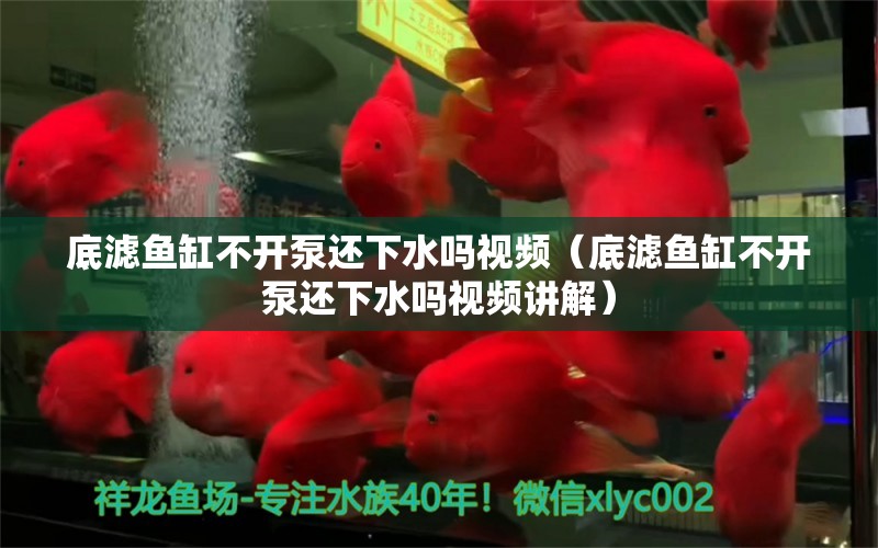 底濾魚缸不開泵還下水嗎視頻（底濾魚缸不開泵還下水嗎視頻講解）