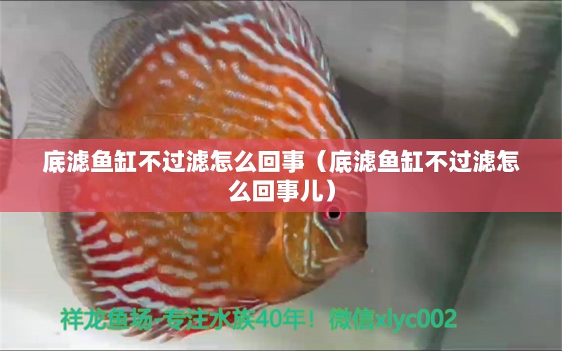 底濾魚缸不過濾怎么回事（底濾魚缸不過濾怎么回事兒）