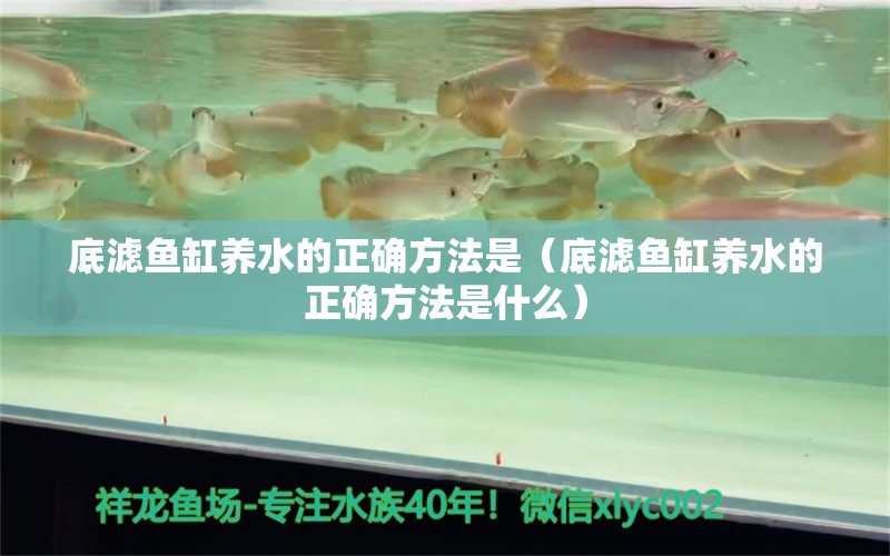 底濾魚缸養(yǎng)水的正確方法是（底濾魚缸養(yǎng)水的正確方法是什么） 量子養(yǎng)魚技術(shù)