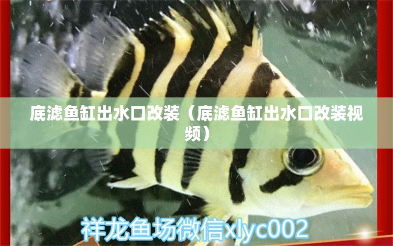 底濾魚(yú)缸出水口改裝（底濾魚(yú)缸出水口改裝視頻） 祥龍水族醫(yī)院