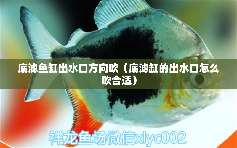 底濾魚缸出水口方向吹（底濾缸的出水口怎么吹合適） 觀賞魚市場（混養(yǎng)魚）