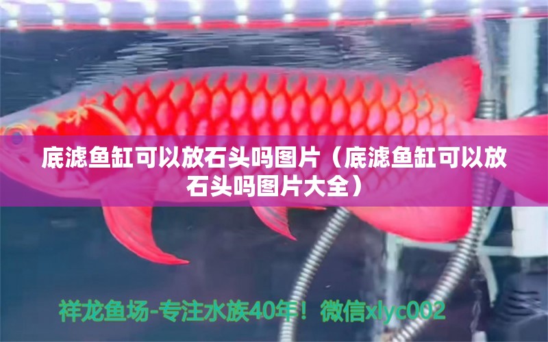 底濾魚缸可以放石頭嗎圖片（底濾魚缸可以放石頭嗎圖片大全）