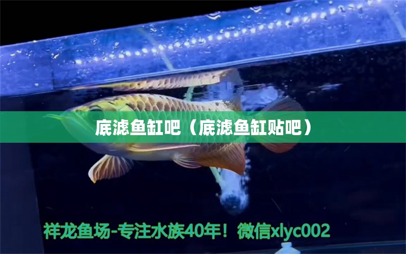 底濾魚缸吧（底濾魚缸貼吧） 魚缸等水族設(shè)備