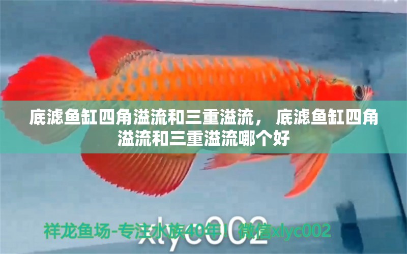 底濾魚缸四角溢流和三重溢流， 底濾魚缸四角溢流和三重溢流哪個(gè)好