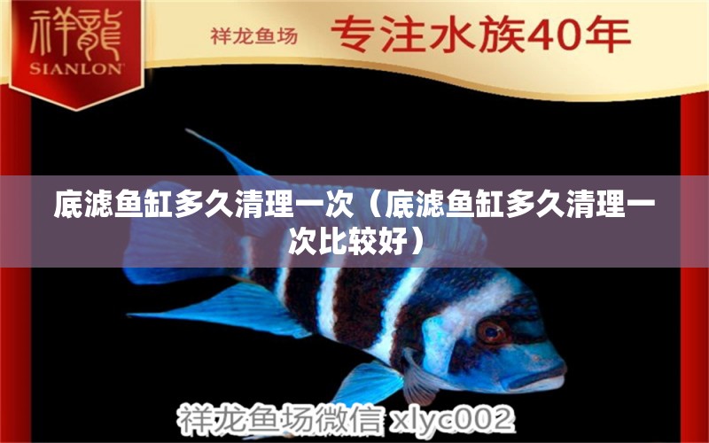 底濾魚缸多久清理一次（底濾魚缸多久清理一次比較好） 白寫錦鯉魚