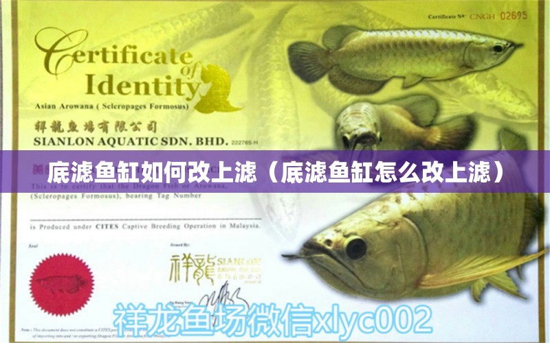 底濾魚缸如何改上濾（底濾魚缸怎么改上濾）