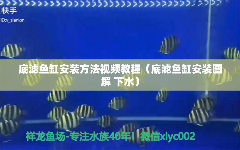 底濾魚缸安裝方法視頻教程（底濾魚缸安裝圖解 下水） 觀賞魚百科