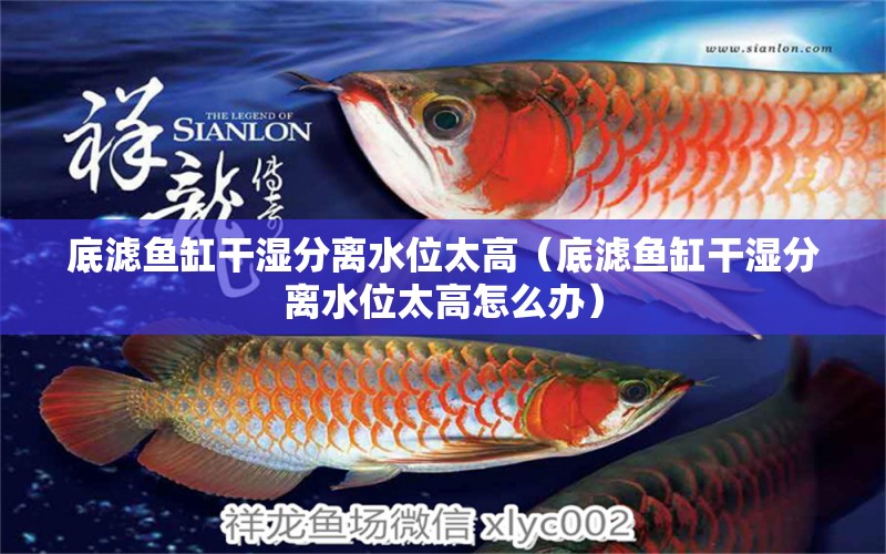 底濾魚(yú)缸干濕分離水位太高（底濾魚(yú)缸干濕分離水位太高怎么辦）