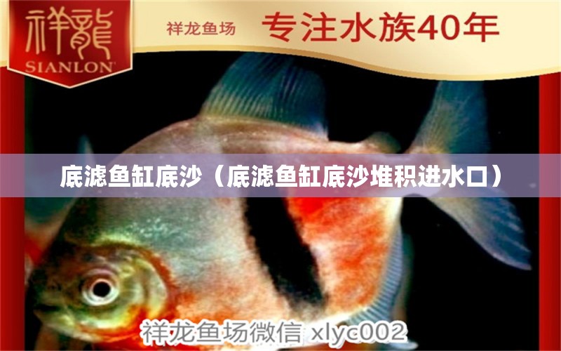 底濾魚缸底沙（底濾魚缸底沙堆積進(jìn)水口） 廣州祥龍國際水族貿(mào)易