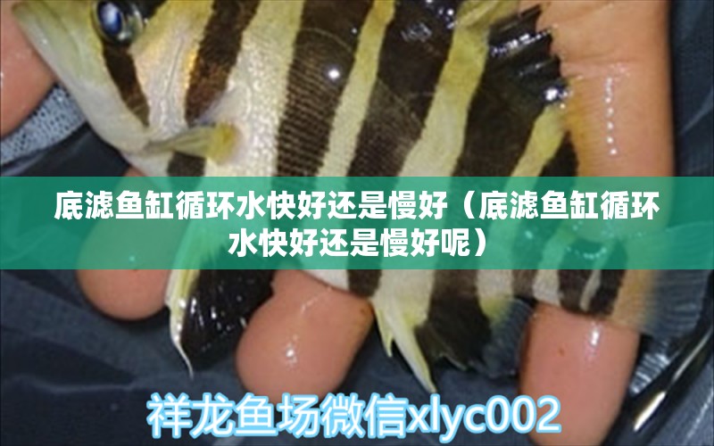 底濾魚缸循環(huán)水快好還是慢好（底濾魚缸循環(huán)水快好還是慢好呢）