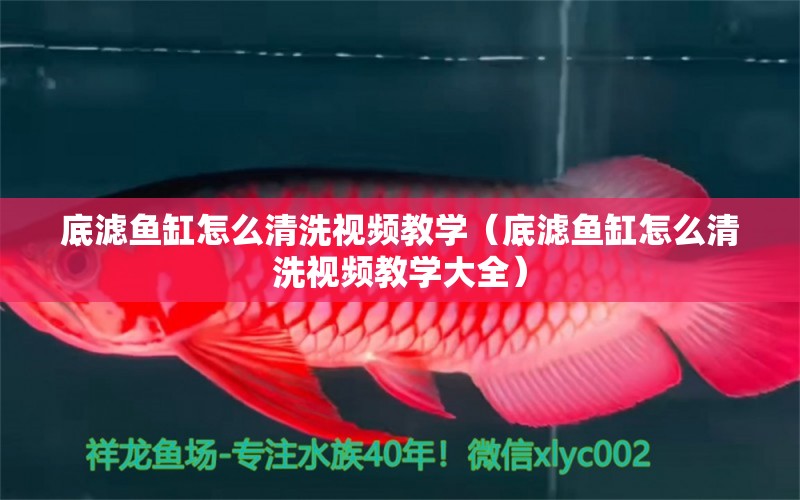 底濾魚缸怎么清洗視頻教學(xué)（底濾魚缸怎么清洗視頻教學(xué)大全） 其他品牌魚缸