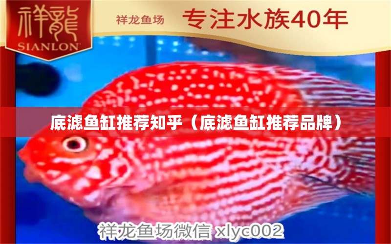 底濾魚(yú)缸推薦知乎（底濾魚(yú)缸推薦品牌） 祥龍赫舞紅龍魚(yú)