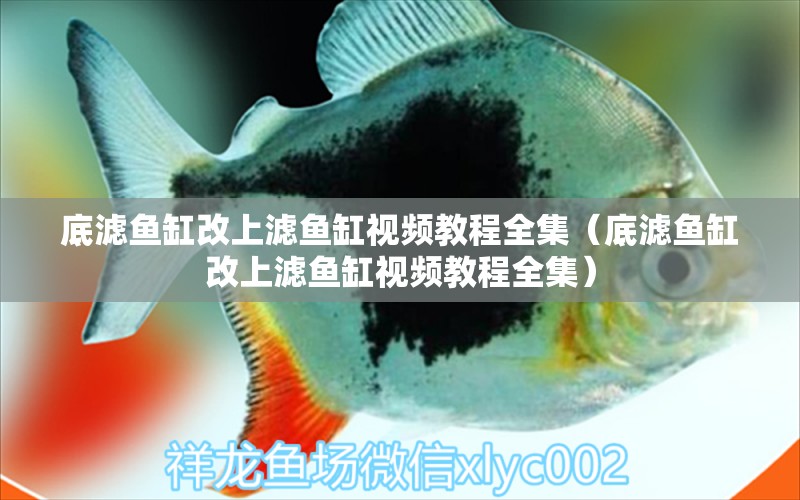 底濾魚缸改上濾魚缸視頻教程全集（底濾魚缸改上濾魚缸視頻教程全集） 九鼎魚缸