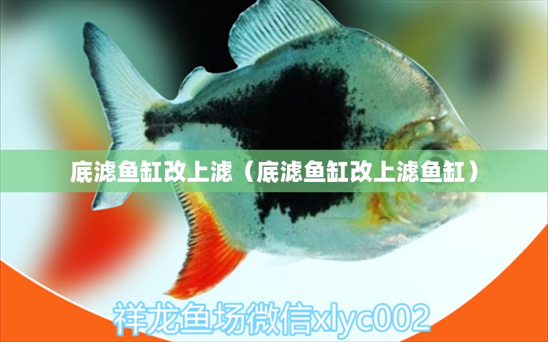 底濾魚(yú)缸改上濾（底濾魚(yú)缸改上濾魚(yú)缸）