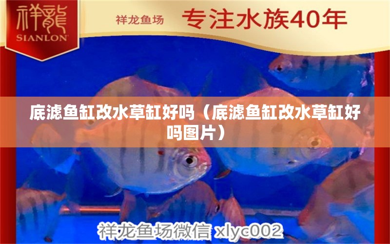 底濾魚缸改水草缸好嗎（底濾魚缸改水草缸好嗎圖片）