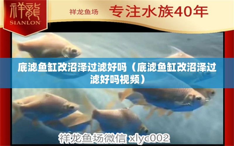 底濾魚缸改沼澤過濾好嗎（底濾魚缸改沼澤過濾好嗎視頻） 祥龍魚場