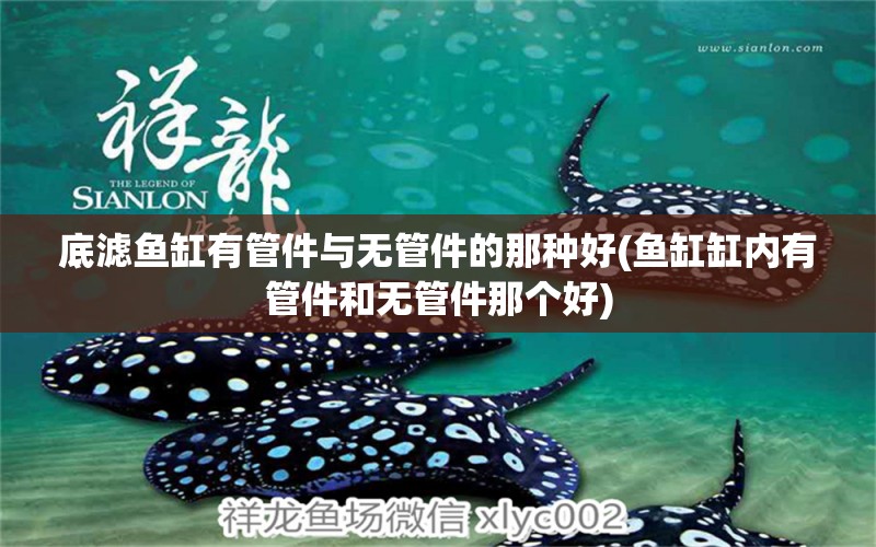 底濾魚缸有管件與無管件的那種好(魚缸缸內(nèi)有管件和無管件那個(gè)好) 申古銀版魚