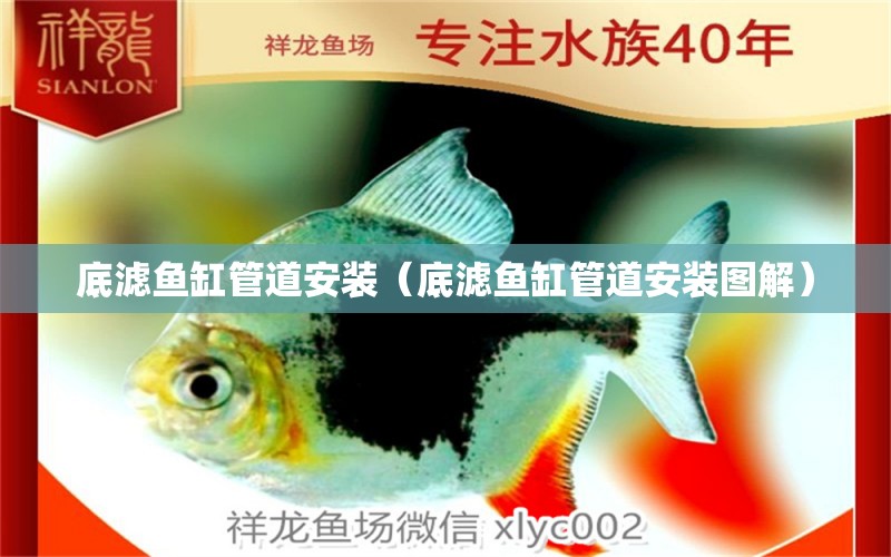 底濾魚缸管道安裝（底濾魚缸管道安裝圖解） 觀賞魚市場（混養(yǎng)魚）