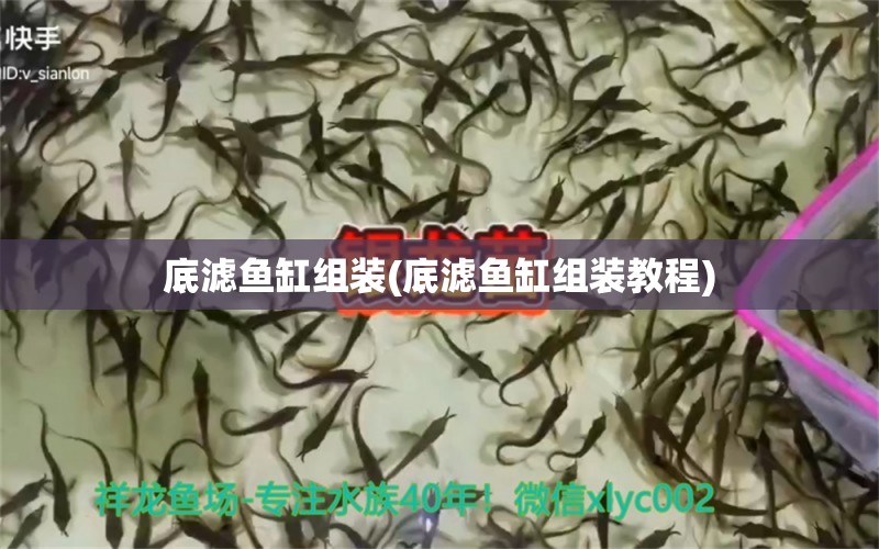 底濾魚缸組裝(底濾魚缸組裝教程) 祥龍龍魚魚糧