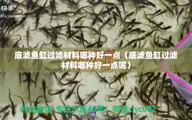 底濾魚缸過濾材料哪種好一點（底濾魚缸過濾材料哪種好一點呢） 祥龍水族醫(yī)院