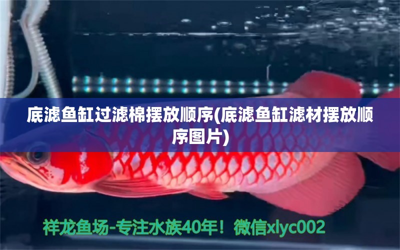 底濾魚缸過(guò)濾棉擺放順序(底濾魚缸濾材擺放順序圖片) 二氧化碳設(shè)備 第1張