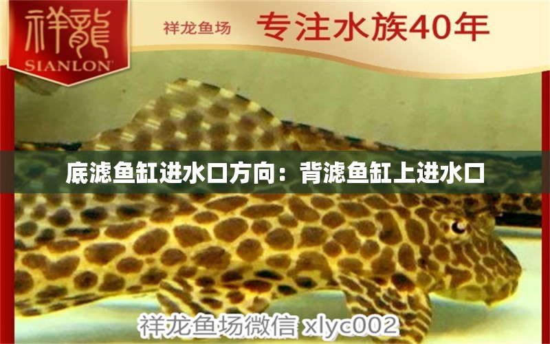 底濾魚缸進(jìn)水口方向：背濾魚缸上進(jìn)水口 觀賞魚 第1張