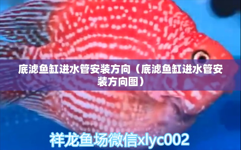 底濾魚缸進(jìn)水管安裝方向（底濾魚缸進(jìn)水管安裝方向圖）