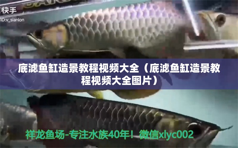 底濾魚缸造景教程視頻大全（底濾魚缸造景教程視頻大全圖片） 蝴蝶鯉魚苗