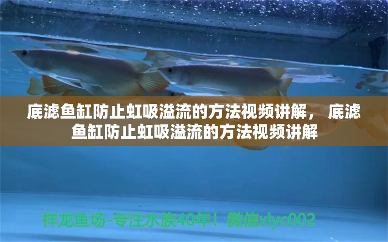 底濾魚(yú)缸防止虹吸溢流的方法視頻講解， 底濾魚(yú)缸防止虹吸溢流的方法視頻講解 龍魚(yú)麻藥（祥龍Nika）