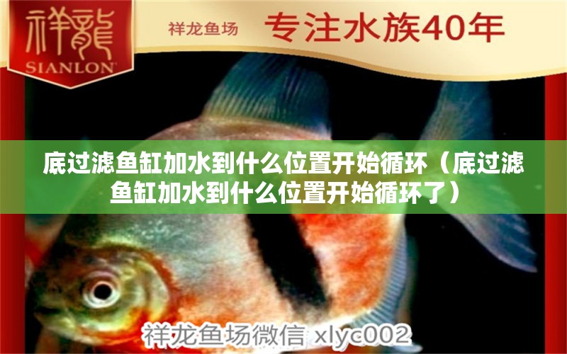 底過濾魚缸加水到什么位置開始循環(huán)（底過濾魚缸加水到什么位置開始循環(huán)了）