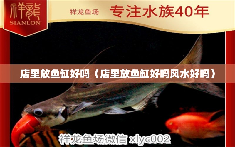 店里放魚缸好嗎（店里放魚缸好嗎風(fēng)水好嗎） 魚缸風(fēng)水