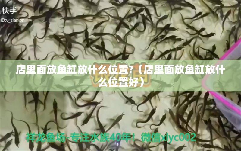 店里面放魚缸放什么位置?（店里面放魚缸放什么位置好）