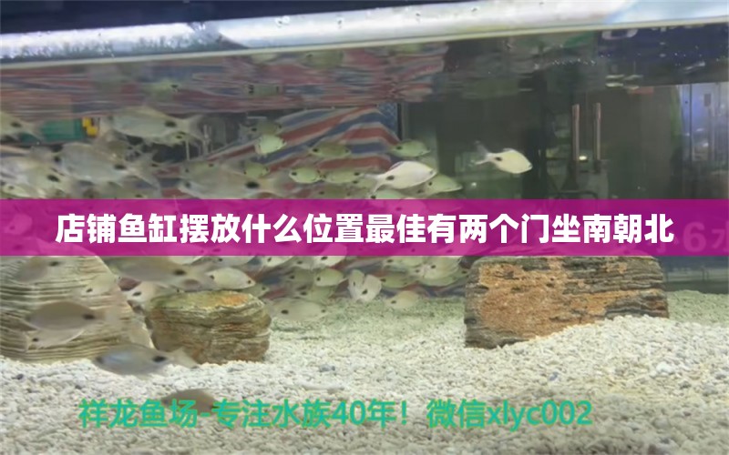 店鋪魚(yú)缸擺放什么位置最佳有兩個(gè)門(mén)坐南朝北