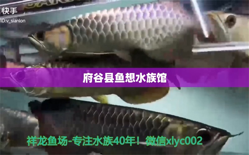 府谷縣魚想水族館 全國水族館企業(yè)名錄