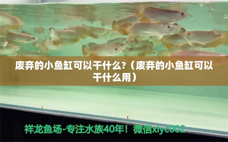 廢棄的小魚(yú)缸可以干什么?（廢棄的小魚(yú)缸可以干什么用）