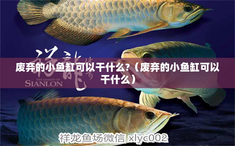 廢棄的小魚(yú)缸可以干什么?（廢棄的小魚(yú)缸可以干什么） 祥龍水族醫(yī)院