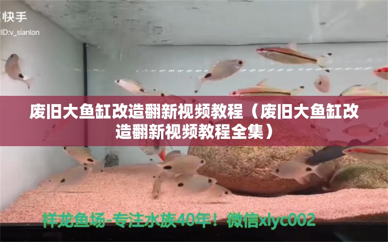 廢舊大魚缸改造翻新視頻教程（廢舊大魚缸改造翻新視頻教程全集）