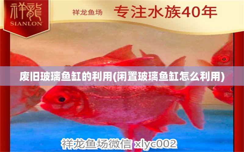 廢舊玻璃魚缸的利用(閑置玻璃魚缸怎么利用) 祥龍水族護理水