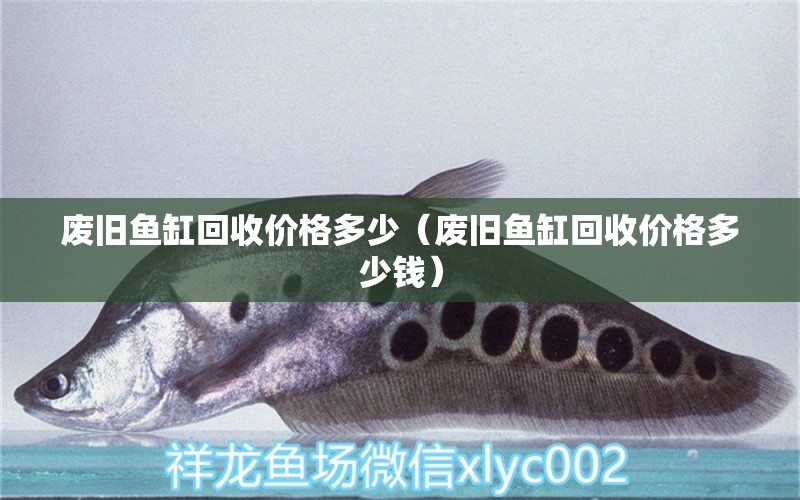 廢舊魚缸回收價格多少（廢舊魚缸回收價格多少錢）