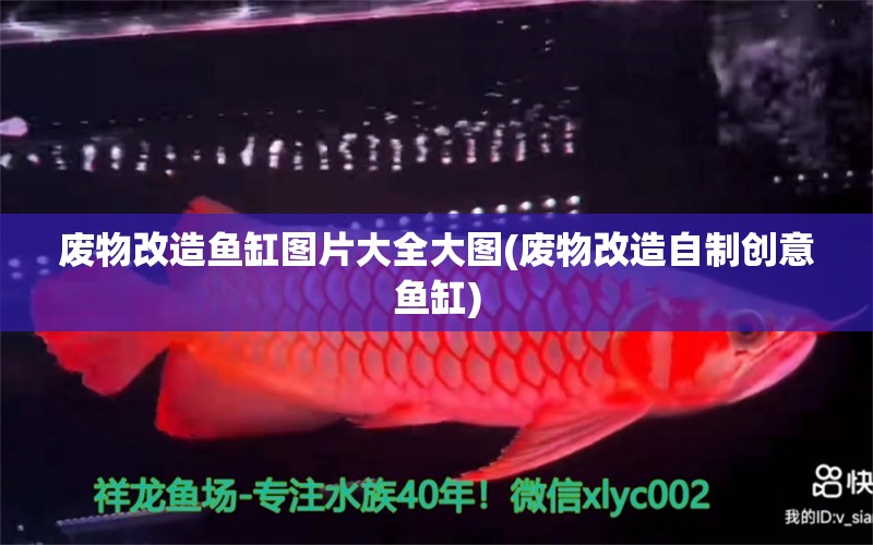 廢物改造魚缸圖片大全大圖(廢物改造自制創(chuàng)意魚缸) 粗線銀版魚