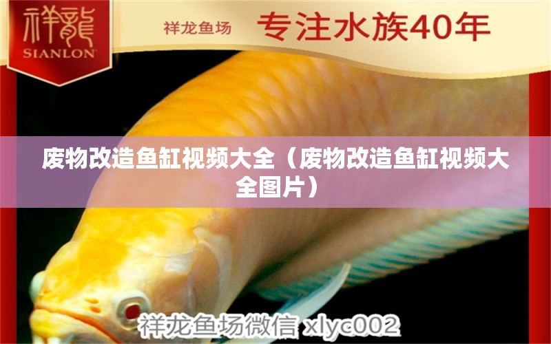 廢物改造魚(yú)缸視頻大全（廢物改造魚(yú)缸視頻大全圖片） 廣州觀賞魚(yú)批發(fā)市場(chǎng)