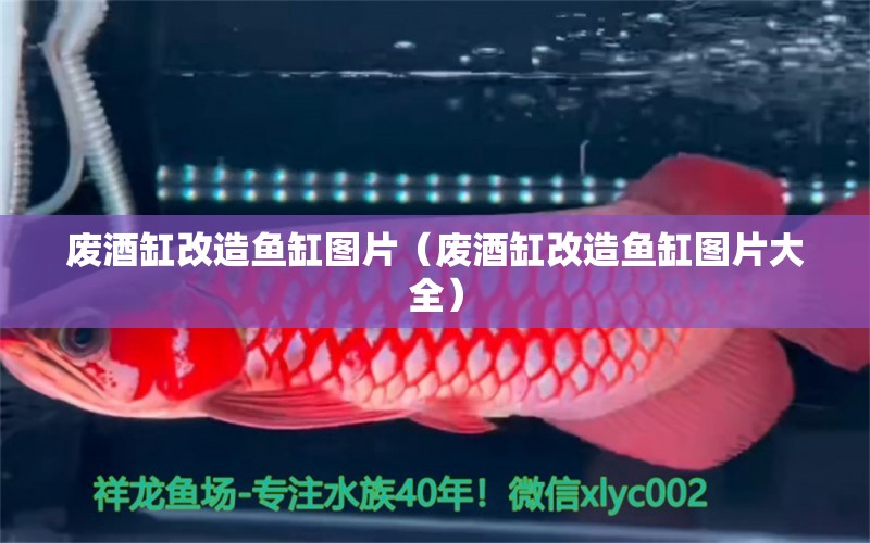 廢酒缸改造魚缸圖片（廢酒缸改造魚缸圖片大全）