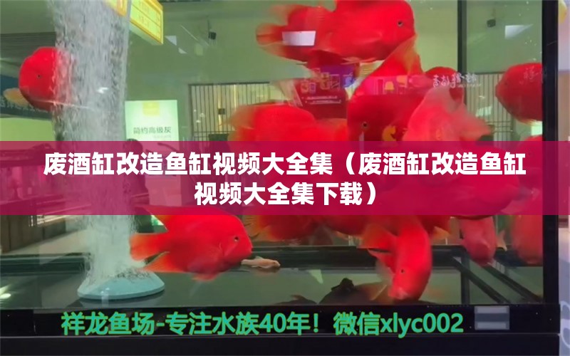 廢酒缸改造魚缸視頻大全集（廢酒缸改造魚缸視頻大全集下載）