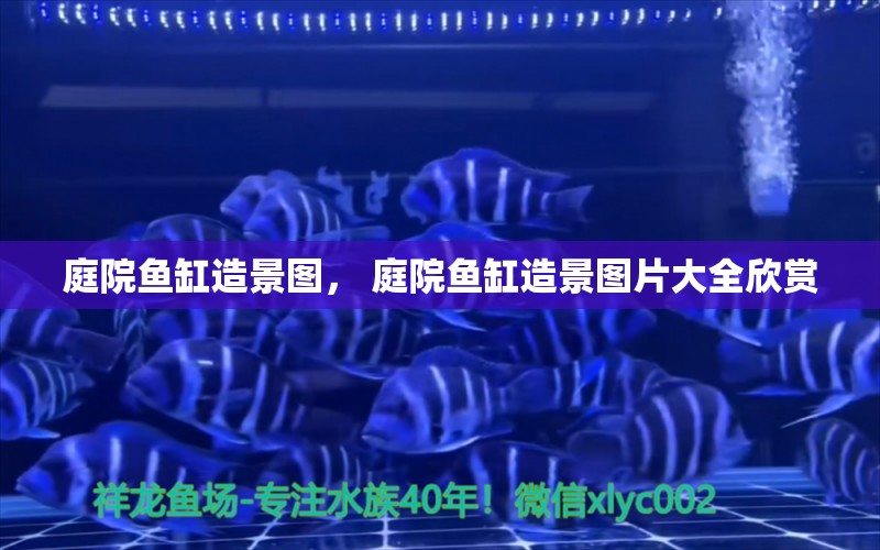 庭院魚缸造景圖， 庭院魚缸造景圖片大全欣賞 廣州水族器材濾材批發(fā)市場(chǎng)