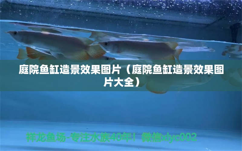 庭院魚缸造景效果圖片（庭院魚缸造景效果圖片大全）