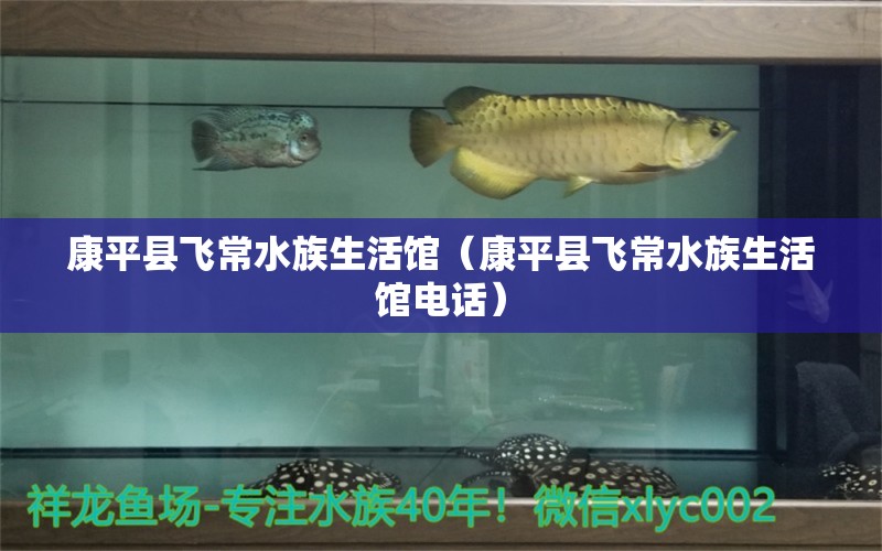 康平縣飛常水族生活館（康平縣飛常水族生活館電話）